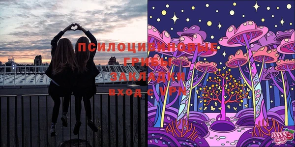 СК Володарск